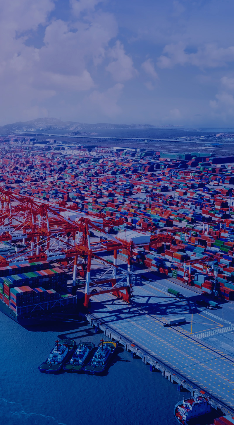 Shengshi Group's services cover the United States,<br>We will be your best customs declaration and transportation partner!