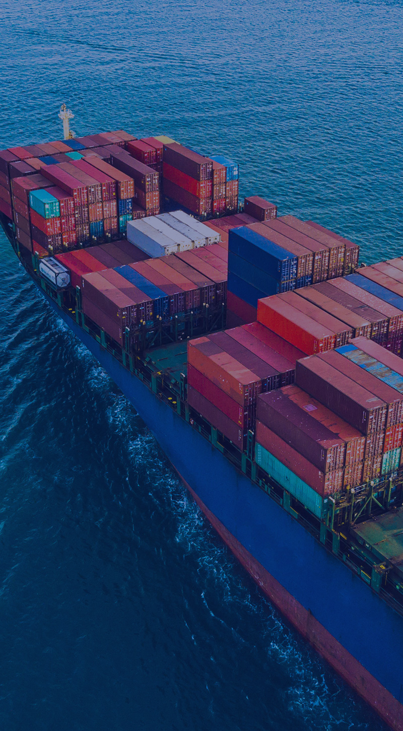 Shengshi Group's services cover the United States,<br>We will be your best customs declaration and transportation partner!